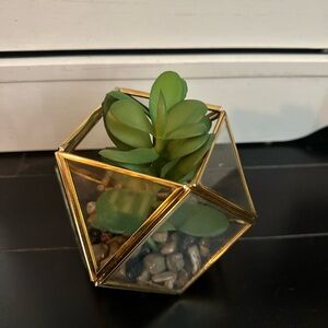 TWO Geometric Gold and Green Succulent Terrariums